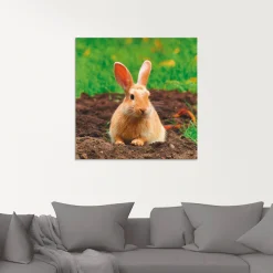 Artland Glasbild »Glückliches Zwergkaninchen« Wildtiere 1 Stk. tlg. in verschiedenen Größen