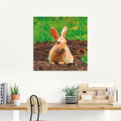 Artland Glasbild »Glückliches Zwergkaninchen« Wildtiere 1 Stk. tlg. in verschiedenen Größen