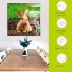 Artland Glasbild »Glückliches Zwergkaninchen« Wildtiere 1 Stk. tlg. in verschiedenen Größen