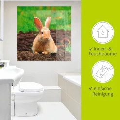 Artland Glasbild »Glückliches Zwergkaninchen« Wildtiere 1 Stk. tlg. in verschiedenen Größen