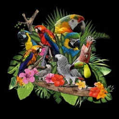 Artland Glasbild »Papageien Graupapagei Kakadu Dschungel« Vögel 1 Stk. tlg. in verschiedenen Größen