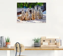 Artland Poster »Erdmännchenfamilie« Wildtiere 1 Stk. tlg. ohne Rahmen
