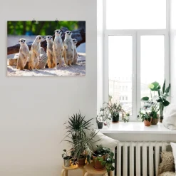 Artland Poster »Erdmännchenfamilie« Wildtiere 1 Stk. tlg. ohne Rahmen