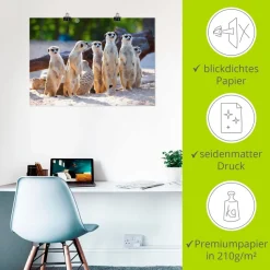 Artland Poster »Erdmännchenfamilie« Wildtiere 1 Stk. tlg. ohne Rahmen