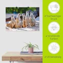 Artland Poster »Erdmännchenfamilie« Wildtiere 1 Stk. tlg. ohne Rahmen