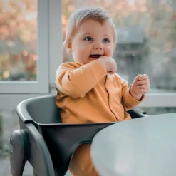BabyGo Kombihochstuhl »Levels« ()