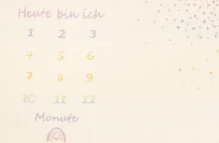 Biederlack Babydecke »Babydecke Milestone« Babydecke Milestone, die perfekte Fotodecke