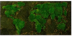 Bönninghoff Bild mit Rahmen »Moosbild "Weltkarte" 60x120 cm, weißer Rahmen« 1 Stk. tlg. handgefertigt, jedes Bild ein Unikat