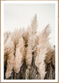 Bönninghoff Bild mit Rahmen »Wandbild gerahmt PAMPASGRAS 50x70 cm – Natürliches Gräsermotiv in« Gräser | Natur | Pflanzen | Pflanzenbilder 1 Stk. tlg. mit dekorativem Rahmen