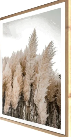 Bönninghoff Bild mit Rahmen »Wandbild gerahmt PAMPASGRAS 50x70 cm – Natürliches Gräsermotiv in« Gräser | Natur | Pflanzen | Pflanzenbilder 1 Stk. tlg. mit dekorativem Rahmen