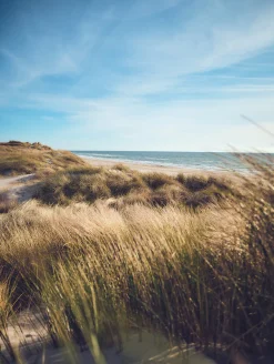 Bönninghoff Leinwandbild »Wandbild DÜNEN UND MEER 46x61 cm – Leinwandbild Keilrahmen Deko modern« Düne | Strand 1 Stk. tlg. auf Keilrahmen gespannt