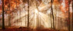 Bönninghoff Leinwandbild »Wandbild HERBSTWALD XXL 60x140 cm – Leinwandbild Keilrahmen Deko« Wald 1 Stk. tlg. auf Keilrahmen gespannt