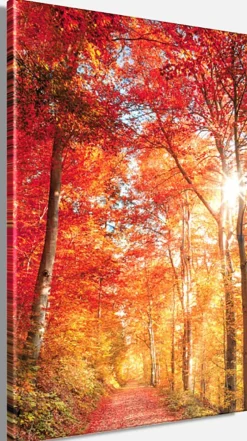 Bönninghoff Leinwandbild »Wandbild BUNTER HERBSTWALD 60x90 cm – Leinwandbild Keilrahmen Deko« Baumbilder | Bäume | Landschaft | Natur | Wald | Waldbilder 1 Stk. tlg. auf Keilrahmen gespannt