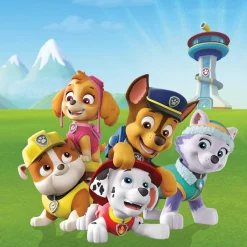 Bönninghoff Leinwandbild »Wandbild PAW PATROL 35x35 cm – Leinwandbild Keilrahmen Deko modern« Filmfiguren 1 Stk. tlg. auf Keilrahmen gespannt
