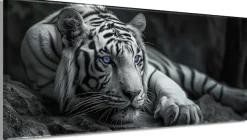 Bönninghoff Leinwandbild »Wandbild TIGER XXL 60x140 cm – Leinwandbild Keilrahmen Deko modern« Raubkatzen | Tiere | Tiger | Wildtiere 1 Stk. tlg. auf Keilrahmen gespannt