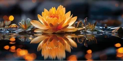 Bönninghoff Leinwandbild »Wandbild LOTUSBLUME 33x70 cm – Leinwandbild Keilrahmen Deko modern« Blumen | Blumenbilder | Natur | Pflanzen | Pflanzenbilder | Stillleben 1 Stk. tlg. auf Keilrahmen gespannt
