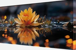 Bönninghoff Leinwandbild »Wandbild LOTUSBLUME 33x70 cm – Leinwandbild Keilrahmen Deko modern« Blumen | Blumenbilder | Natur | Pflanzen | Pflanzenbilder | Stillleben 1 Stk. tlg. auf Keilrahmen gespannt