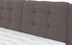 COTTA Boxspringbett »Fort mit Bettkasten, inkl. Topper« erhältlich in verschiedenen Breiten (160cm, 180cm & 200cm)