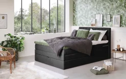 COTTA Boxspringbett »Shark inkl. Bettkasten und Topper« erhältlich in den Breiten 140x200cm, 160x200cm und 180x200cm