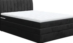 COTTA Boxspringbett »Shark inkl. Bettkasten und Topper« erhältlich in den Breiten 140x200cm, 160x200cm und 180x200cm