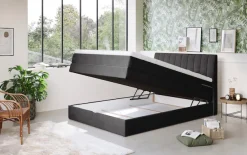 COTTA Boxspringbett »Shark inkl. Bettkasten und Topper« erhältlich in den Breiten 140x200cm, 160x200cm und 180x200cm