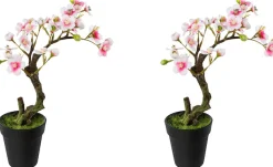 Creativ green Kunstblume »Mandelbonsai im Topf«