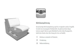 Die PlanBar Ecksofa »MP-IN17004 L-Form, Breite 323 cm, mit Kaltschaum-Polsterung« inkl. Sitztiefenverstellung, wahlweise weitere Funktionen
