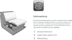Die PlanBar Ecksofa »MP-IN16037 L-Form, Breite 289 cm, mit Federkern-Polsterung« mit Sitztiefenverstellung & Zierkissen