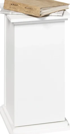 FMD Container »Essex« Breite 30 cm