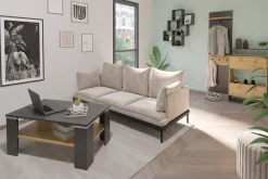 FMD Couchtisch »Bastia« Breite 100 cm