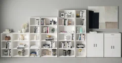 FMD Mehrzweckschrank »Bitz«