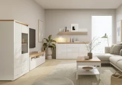 FORTE Highboard »Highboard 1T/1SK/1GT« B/H/T 96,4/147,4/41,6 cm, Front glänzend, Glas