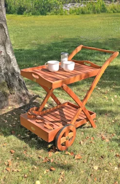 Garden Pleasure Servierwagen »Toledo« Eukalyptusholz, 88x54 cm, rollbar