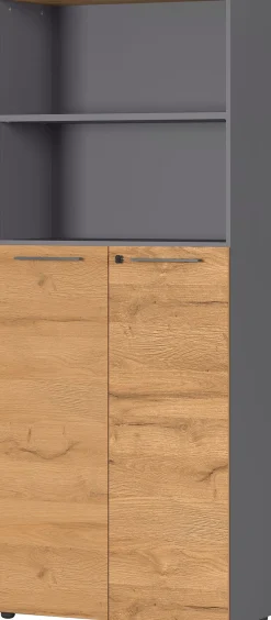 GERMANIA Aktenschrank »GW-Agenda, Mehrzweckschrank, abschließbar,« optional mit 2 offenen Fächern, Maße 80x197 cm, Made in Germany