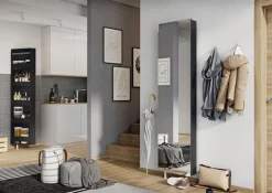 GERMANIA Schuhschrank »1189« 1 Stk. tlg. Drehschrank mit Spiegel, für schmale Flure, hinten offen, Tiefe: 18 cm