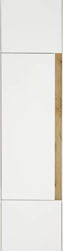 Home affaire Aktenschrank »CiTY/GiRON« Stauraumschrank zeitlos modern, wohnliches Home Office, Breite 50 cm
