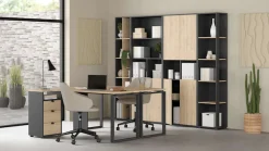 Home affaire Bücherregal »Sign Ablageregal, Aktenregal, Bücherregal, Standregal, Wandregal,« mit 2 Türen, 4 Einlegeböden, 2 Türen, Höhe 200 cm, Breite 80 cm