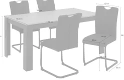 Home affaire Essgruppe »Napoli« Set, 4 Freischwinger + 1 Esstisch, 5 Stk. tlg. 5-teilige Tischgruppe mit modernem Freischwinger Stuhl und Esstisch