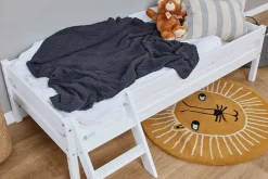 Home affaire Jugendbett »ECO One« Kinderbett mit Rausfallschutz und Leiter, 3 Farben/Matratze wählbar