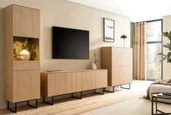 Home affaire Lowboard »Lund, moderner TV-Unterschrank, Kommode mit Kufengestell« optisch dünner Oberboden, hochwertige Optik, ausreichend Stauraum