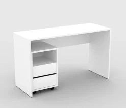 Home affaire Rollcontainer »Agapi« Bürocontainer im modernen Design, 40x40x62 cm, 2 Schubkästen