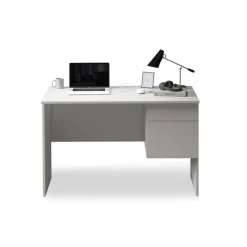 Home affaire Schreibtisch »Essential, Schreibtisch, kleiner Computertisch, Bürotisch für Büro« 1 Stk. tlg. mit 1 Tür,1 Schublade, Arbeitsplatte Breite 110 cm