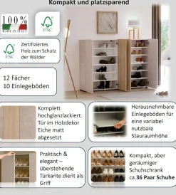 Home affaire Schuhschrank »LADY, Schuhkommode,Schuhmöbel,Schuhablage,Schuhregal« 10 Einlegeböden,12 Fächer,ca. 36 Paar Schuhe-Maße: B/T/H:160x34x115 cm