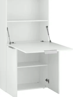 Home affaire Sekretär »Dalia, Schreibtisch,« PC-Schrank im modernen Design, Breite 70 cm, Made in Italy