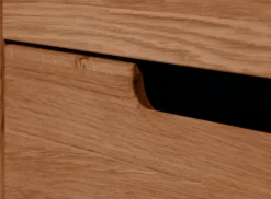 Home affaire Sideboard zwei Türen und zwei Schubladen mit Soft-Close