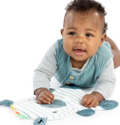 ingenuity Tischsitz »Prop Spot™ Learn-to-Sit™ - Casi™« inklusive 2 Spielzeugen und 3 bunten Anhängern