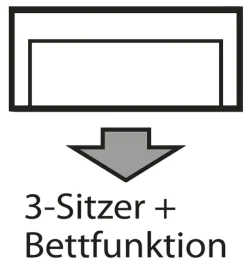 INOSIGN 3-Sitzer »BEATRICE, B: 250 cm - wahlweise mit Bettfunktion« u. Bettkasten, incl. 2 Zierkissen
