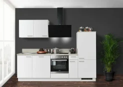 KOCHSTATION Küchenzeile »KS-Scafa, mit höhenverstellbaren Füßen, vormontiert, mit« Soft-Close, wahl. mit E-Geräten inkl. Geschirrspüler, Breite 260 cm