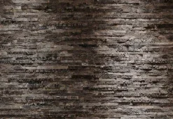 Komar Fototapete »Birkenrinde - Größe 368 x 254 cm« bedruckt glatt Wohnzimmer, Schlafzimmer