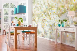 Komar Fototapete »Daisies - Größe 368 x 254 cm« bedruckt glatt Wohnzimmer, Schlafzimmer
